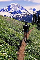 Hiking Toward Mt. Baker on Skyline Divide (v2)